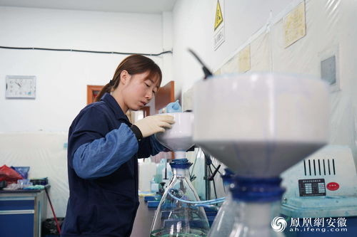 专注有机颜料研发，为宣城工业强市战略增色添彩